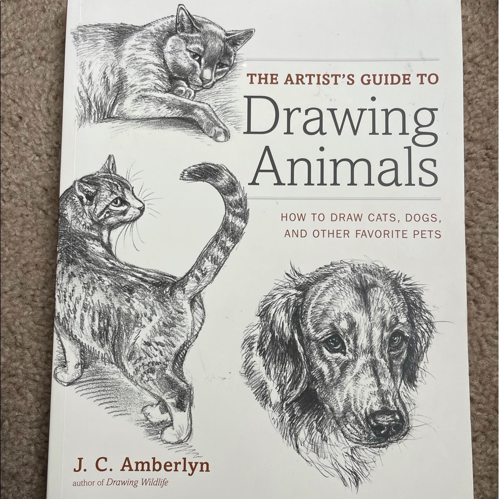 Like new. Never used learning to draw book